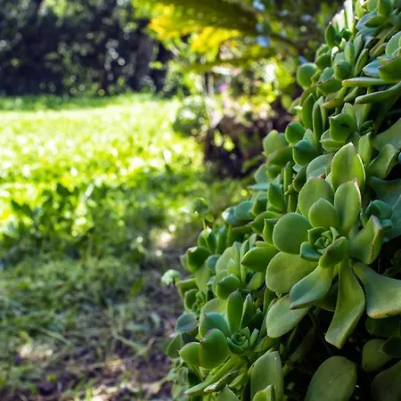 La Margherita 2* دْيانو مارينا