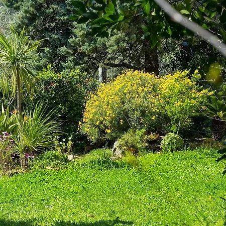 فندق La Margherita