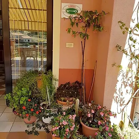 La Margherita 2*