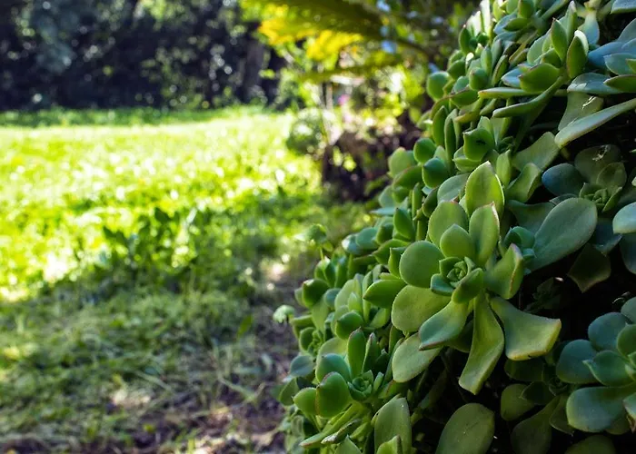 La Margherita 2* דיאנו מרינה